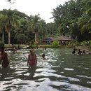 Rain Forest Swimming Pool